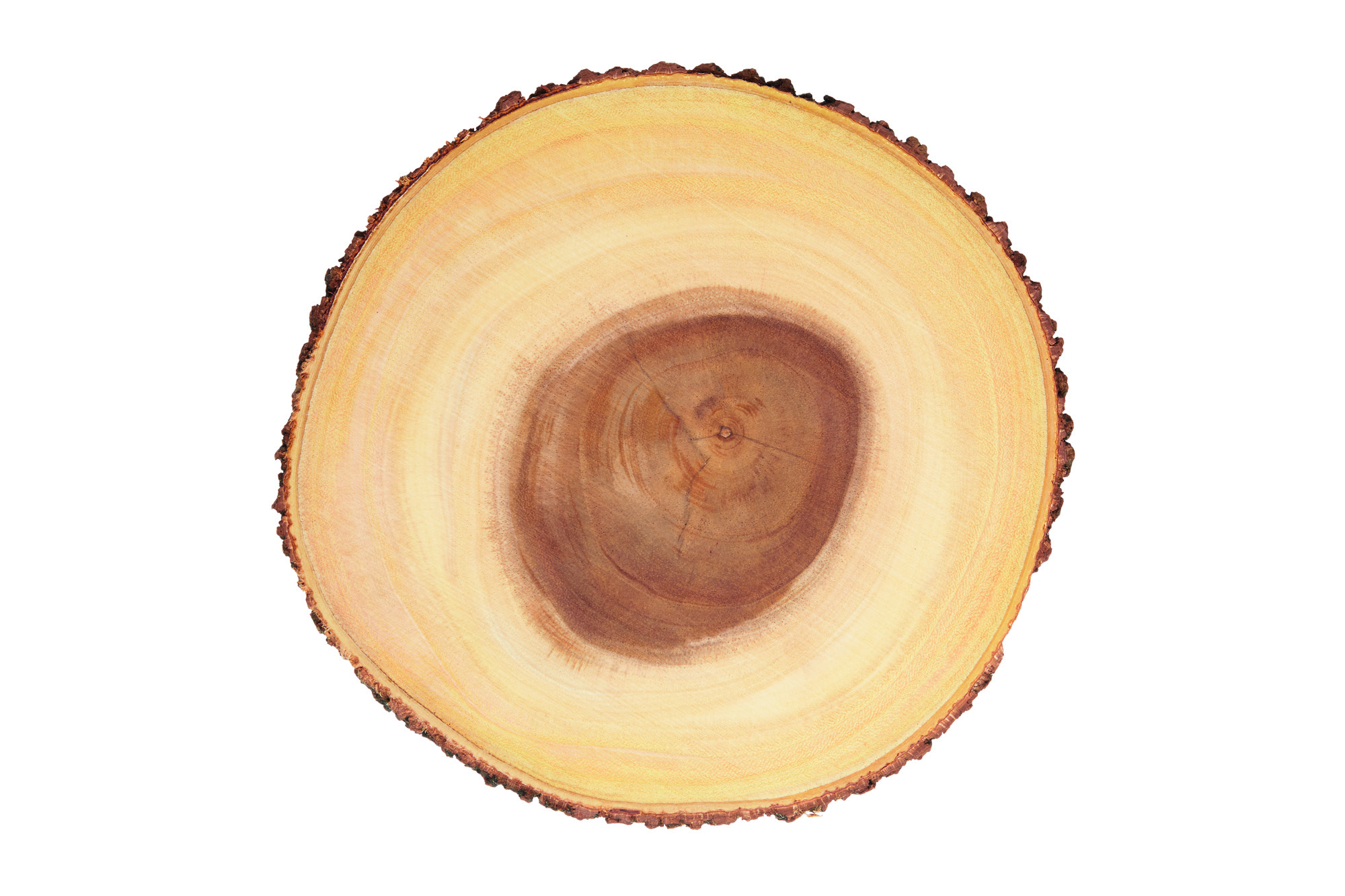 Artesa Rustic 35cm Serving Board