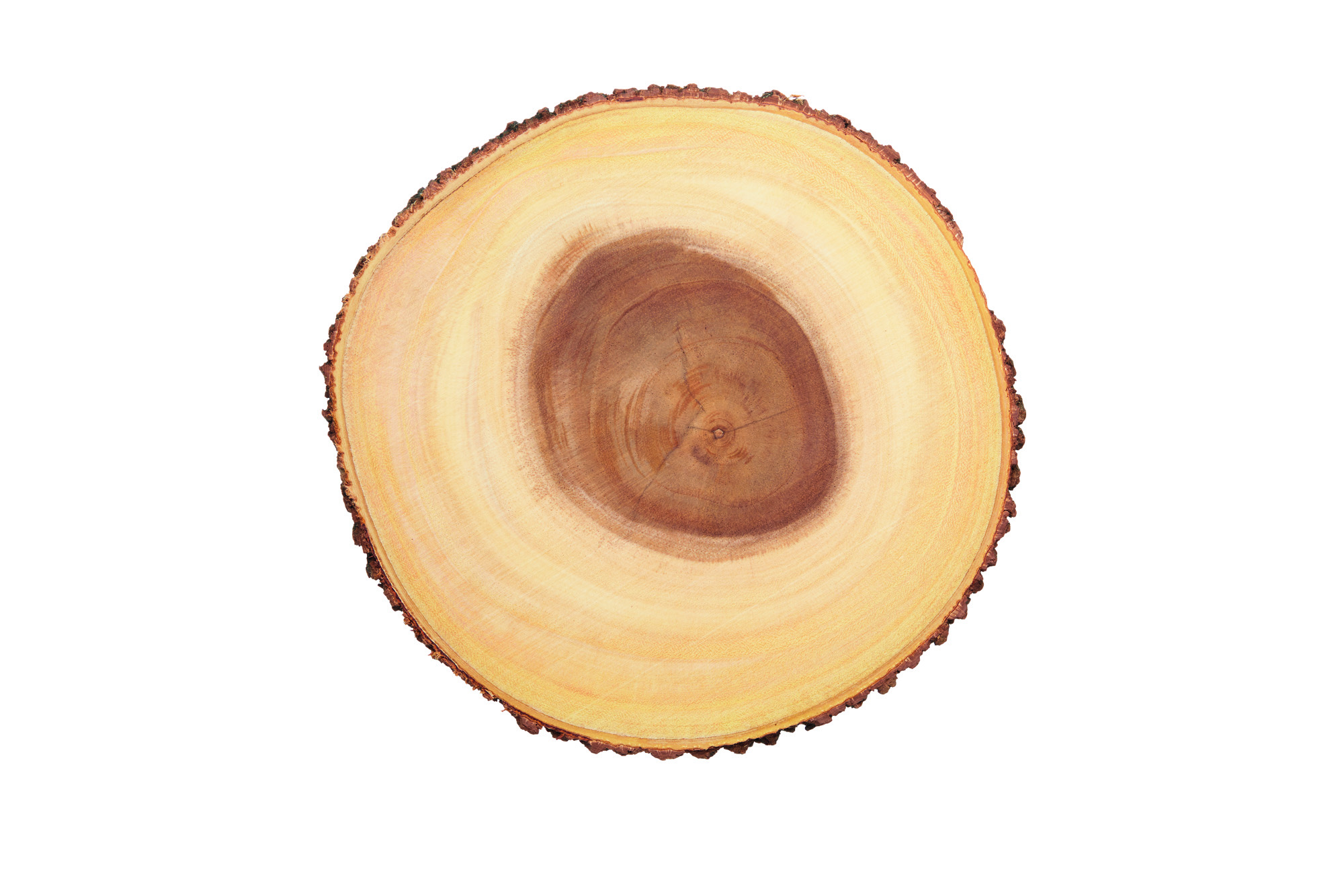 Artesa Rustic 30cm Serving Board